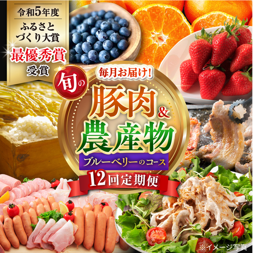 バラエティ定期便【12回】豚肉＆旬の農産物 ブルーベリー [ACAA124]