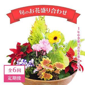 [定期便][全6回定期便]1年中季節のお花が楽しめる!旬のお花盛り合わせ(2か月に1回お届け)[11100-0735]