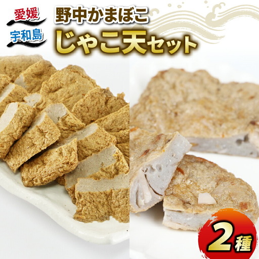 じゃこ天 2種 詰合せ セット 手押してんぷら 7枚 野菜てんぷら 5枚 野中かまぼこ店 C010-014003