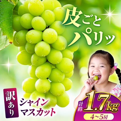 【訳あり】 シャインマスカット 約1.7kg(4?5房)【合同会社 社方園】[ZBZ031]