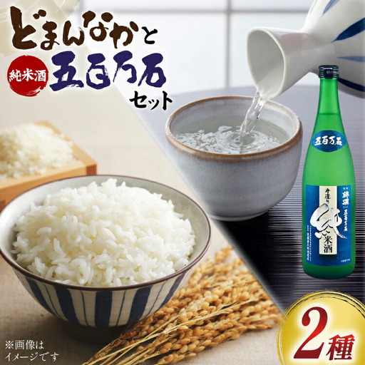 詰め合わせ どまんなか 米 5kg 純米酒 五百万石 720ml 1本