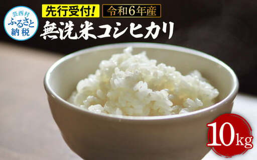 先行予約 令和7年産 無洗米コシヒカリ10キロ 5kg×2 