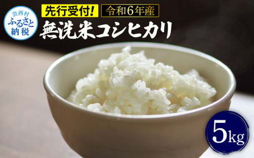 先行予約 令和7年産 無洗米コシヒカリ5キロ 