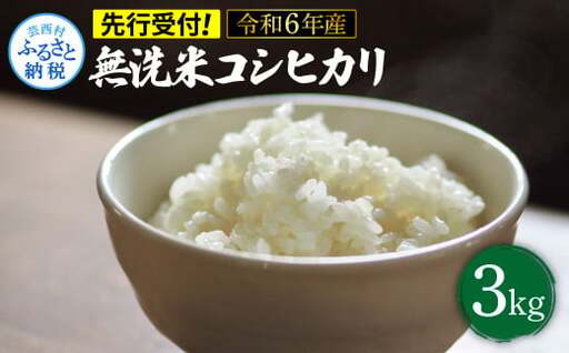 先行予約 令和7年産 無洗米コシヒカリ3キロ 