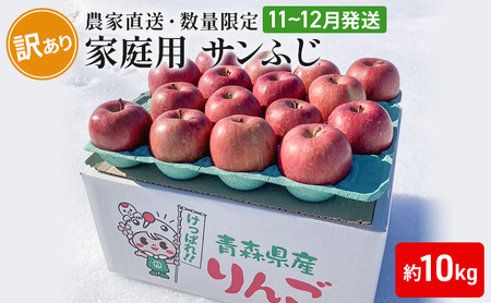 りんごサンふじ農家直送 訳あり家庭用 青森県産 りんご【約10kg】