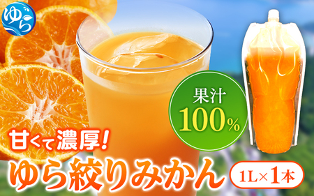 無添加 ストレート果汁! みかんジュース 1L×1本[fmlb018]