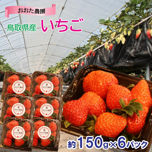 [先行予約]鳥取県産 いちご 約150g×6パック[イチゴ 苺 フルーツ 果物 6パック かおりの かおり野 ベリーすず はるひ おまかせ お楽しみ 減農薬栽培 季節限定 先行予約]