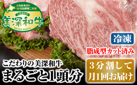 和牛美深和牛3分割月1回お届け 北海道産 和牛【1頭分】【冷凍 定期便】