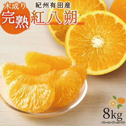 【先行予約】紀州有田産木成り完熟紅八朔８kg ※2027年2月下旬頃〜2027年3月中旬頃に順次発送予定（お届け日指定不可）/ みかん 不知火 和歌山 フルーツ 有田【uot795】