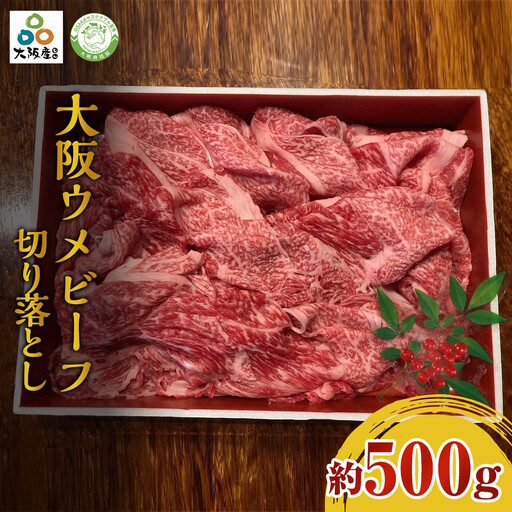 大阪ウメビーフ　切り落とし500g