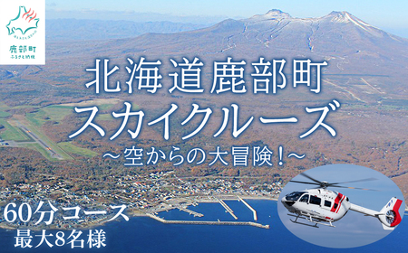 [最大8名]北海道スカイクルーズ 60分コース スカイクルージング 遊覧飛行 体験 観光 鹿部 駒ヶ岳 大沼 函館 室蘭 有珠山 道南