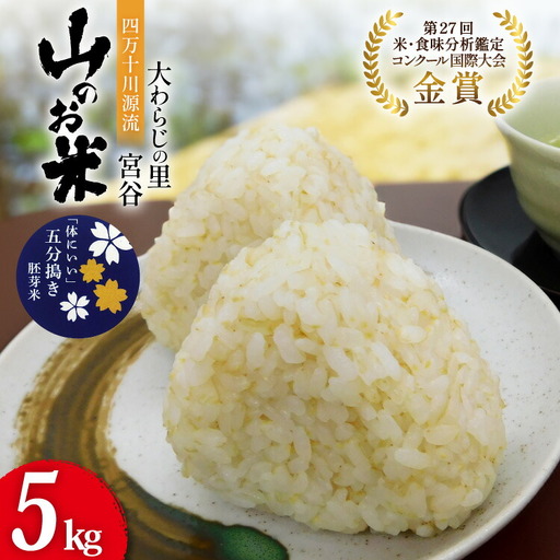 米 大わらじの里 宮谷 山のお米 五分搗き 胚芽米 5kg