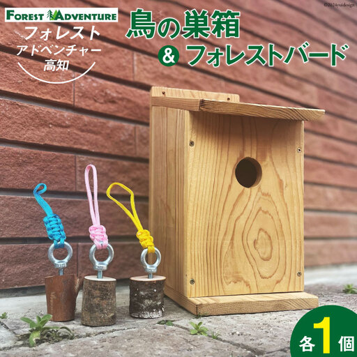 とりの巣箱 と フォレストバード (1個)