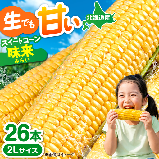 【先行予約】とうもろこし味来 26本 [AJAK007] とうもろこし 北海道 産地直送