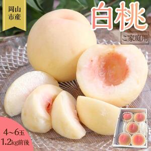 桃 2026年 ご家庭用 岡山 白桃 4玉〜6玉 1.2kg 前後 もも 岡山県産 国産 フルーツ 果物 雅桃園