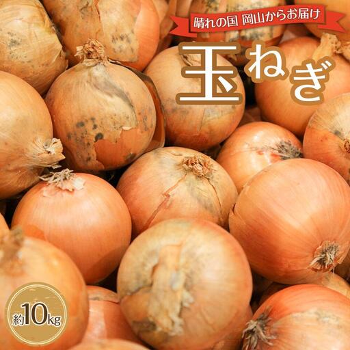 玉ねぎ 岡山市産 約10kg 2026年   野菜 たまねぎ タマネギ オニオン