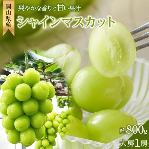 シャインマスカット 大房1房 約800g 贈答用 | シャインマスカット