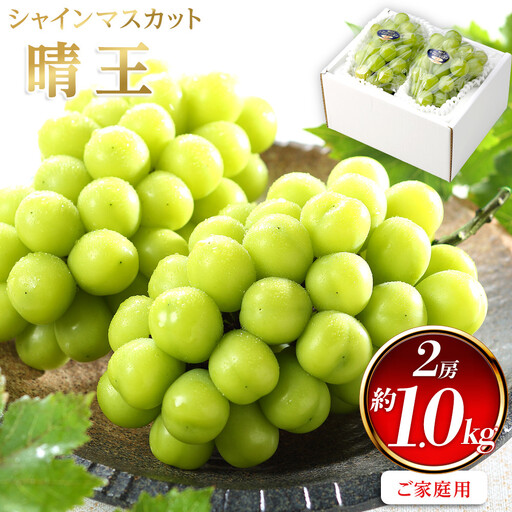 ぶどう 2026年  ご家庭用 シャインマスカット 晴王 約500g×2房 葡萄  岡山県産 国産 フルーツ 果物 | シャインマスカット