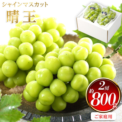 ぶどう 2026年 ご家庭用 シャインマスカット 晴王 約400g×2房 葡萄 岡山県産 国産 フルーツ 果物 | シャインマスカット