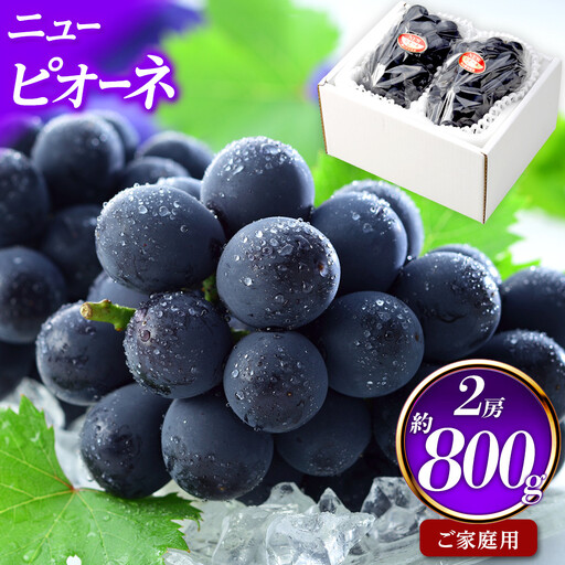 ご家庭用 ニュー ピオーネ 約400g×2房 岡山県産| ピオーネ