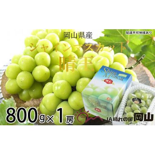 ぶどう 2026年 シャインマスカット 晴王 約800g×1房 葡萄  岡山県産 国産 フルーツ 果物 ギフト | シャインマスカット