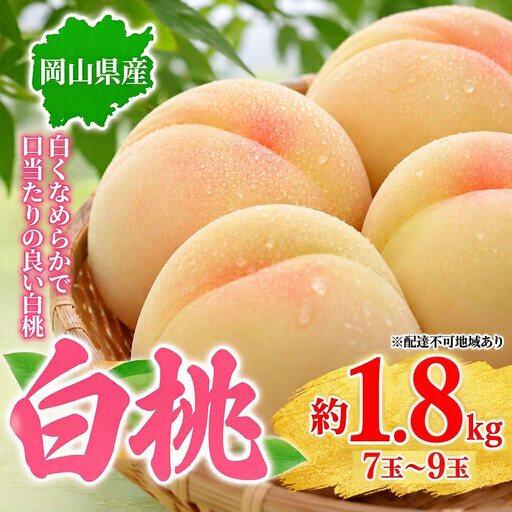 桃 2027年先行予約 岡山県産 白桃 約1.8kg 7～9玉 お届け 7月上旬～7月下旬