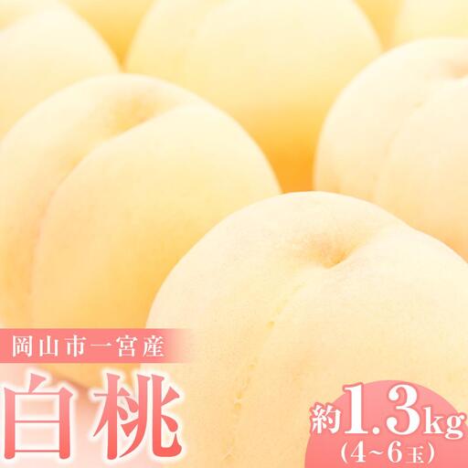 2027年 ご家庭用 白桃 岡山市一宮産 桃 (早生、中生種) 約1.3kg 4〜6玉 先行予約