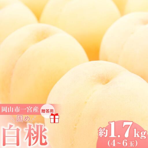 2027年  贈答用 岡山市一宮産   白 桃   固め（晩生種）約1.7kg 4～6玉  ｜ 桃