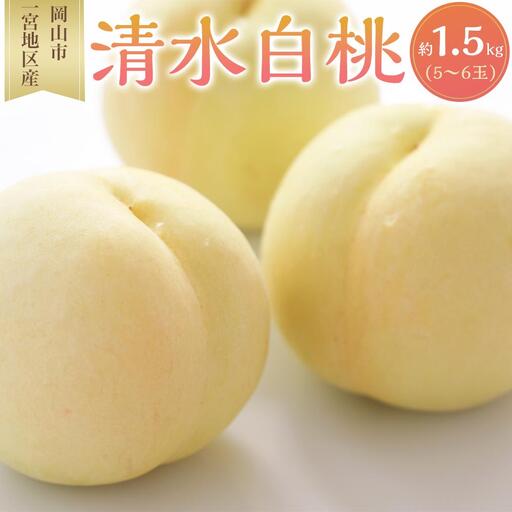 桃 2027年 清水 白桃 5〜6玉入 約1.5kg 岡山市一宮地区産 もも モモ フルーツ 果物 ギフト