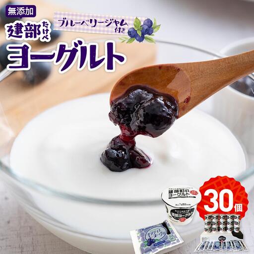 無添加　建部 ヨーグルト （ブルーベリージャム付き） 30個 | ヨーグルト