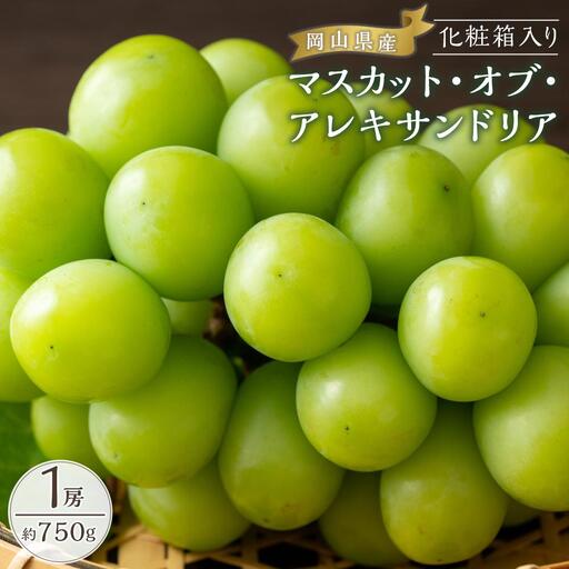 ぶどう 2026年  マスカット・オブ・アレキサンドリア 1房約750g 化粧箱入り ぶどう 葡萄  岡山県産 国産 フルーツ 果物 ギフト