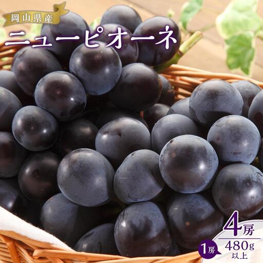 ぶどう 2026年  ニュー ピオーネ 4房（1房480g以上）約2kg ピオーネ 葡萄  岡山県産 国産 フルーツ 果物 ギフト