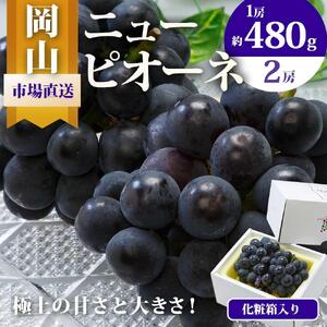 ニュー ピオーネ 2房(1房480g以上)約1kg 化粧箱入り | ピオーネ