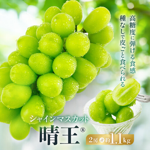 シャインマスカット 晴王 2房 計約1.1kg｜ シャインマスカット