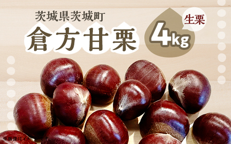365 倉方甘栗 4kg 栗 甘栗 希少品種 数量限定 くり 茨城県産