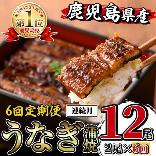 i938-A [定期便・計6回(連続月)]鹿児島県産うなぎ蒲焼2尾セット[(約140g×2・計約280g)×全6回]定期便 うなぎ 鰻 ウナギ 尾 蒲焼き 国産 鹿児島県産 焼きたて 生産量日本一 真空パック おかず 晩御飯 特別な日 土用の丑の日[薩摩川内鰻]