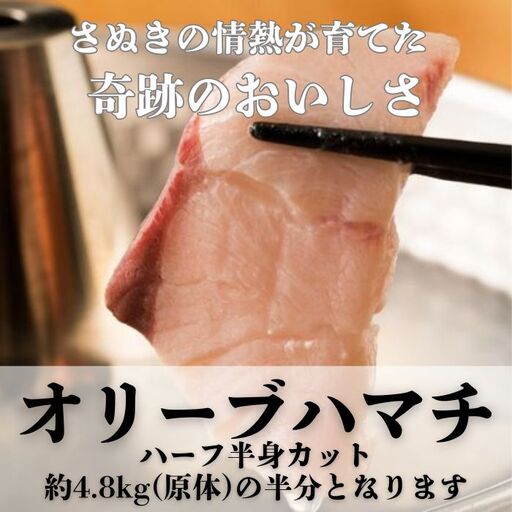 オリーブハマチ ハーフ（半身カット）【予約受付：令和8年10月中旬頃から出荷開始！】【B-811】