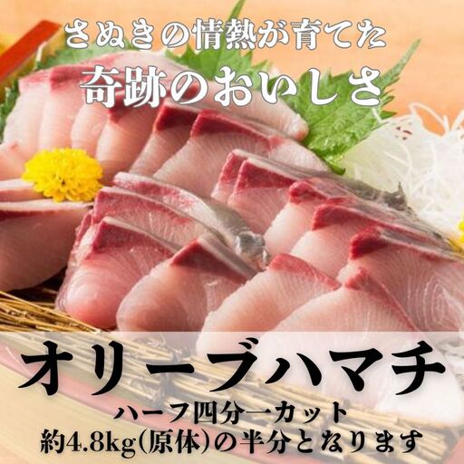 オリーブハマチ ハーフ(四分一カット)[予約受付:令和8年10月中旬頃から出荷開始!]