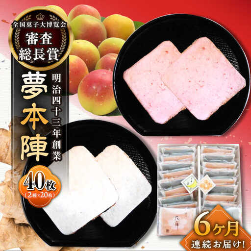 【6回定期便】夢本陣 40枚（2種×20枚） /恵比須堂 [UBQ019] 煎餅 せんべい