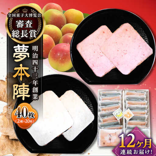 【12回定期便】夢本陣 40枚（2種×20枚） /恵比須堂 [UBQ020] 煎餅 せんべい