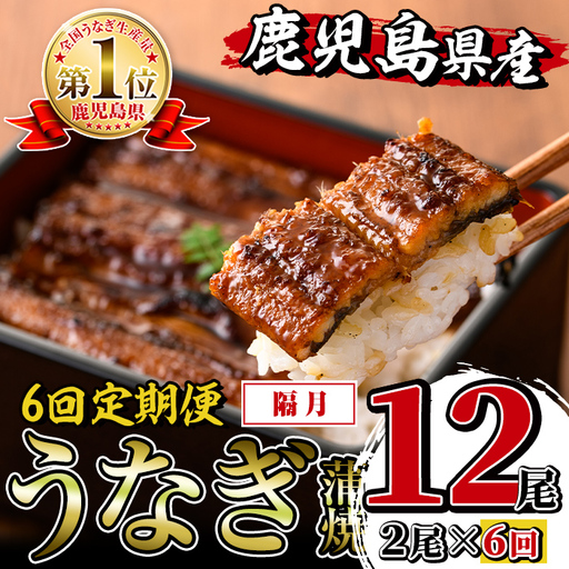 i938-B [定期便・計6回(隔月)]鹿児島県産うなぎ蒲焼2尾セット[(約140g×2・計約280g)×全6回]定期便 うなぎ 鰻 ウナギ 尾 蒲焼き 国産 鹿児島県産 焼きたて 生産量日本一 真空パック おかず 晩御飯 特別な日 土用の丑の日[薩摩川内鰻]