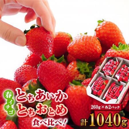 いちご生産量日本一栃木産　春イチゴ『とちおとめ』『とちあいか』 (260g×4パック)食べ比べセット_いちご 苺 とちおとめ とちあいか セット 食べ比べ 人気 おすすめ 送料無料 贈答 ギフト 栃木 佐野 冷蔵 春いちご_【配送不可地域：離島】【1489767】