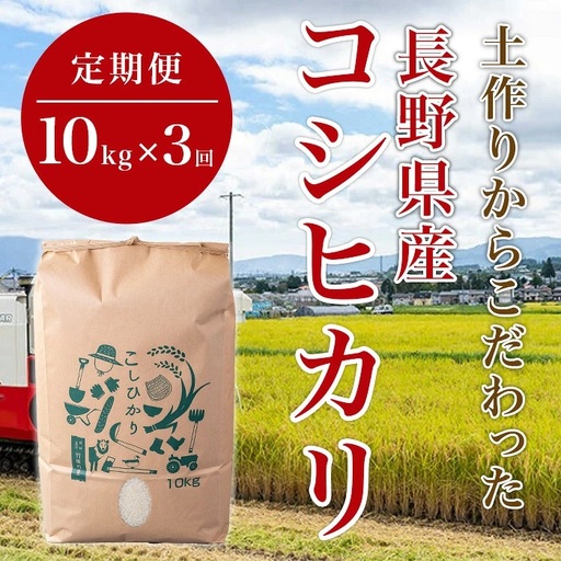 1411【3か月連続お届け】長野県産米コシヒカリ 10kg