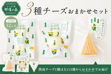 [チーズ工房那須の森][定期便12ヵ月] 那須の森3種チーズおまかせセット(カチョカバロ+フィラータスティック+おまかせチーズ1種) ns003-002