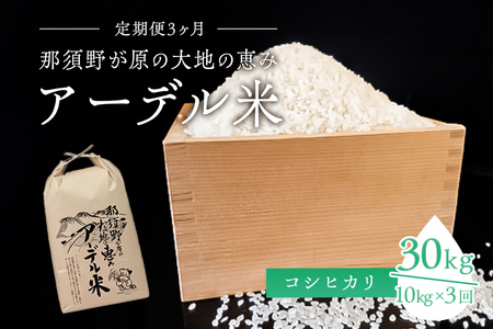 【令和6年産米】『定期便3ヶ月』那須野が原の大地の恵み アーデル米（コシヒカリ1袋10kg）＜出荷開始：2024年10月下旬～＞ 栃木県 那須塩原市 お米 ﾂﾔ ｺｼ 粘り 風味豊か おにぎり 袋 食品 ごはん ｺｼﾋｶﾘ ns061-002