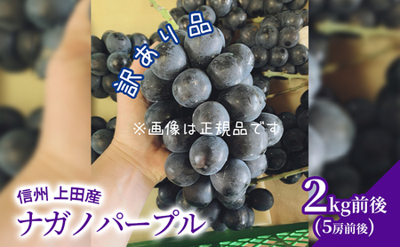 訳あり ナガノパープル 2kg前後 5房前後 ぶどう 葡萄 ブドウ 長野パープル 2kg 果物 くだもの フルーツ デザート 大粒 旬の果物 旬のフルーツ 訳アリ 長野県 長野