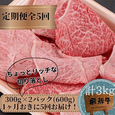 【定期便 隔月発送】全5回 飛騨牛ちょっとリッチな切り落とし（みすじ・ウデすき焼きしゃぶしゃぶ用）300g×2パックセット 切り落とし FC102