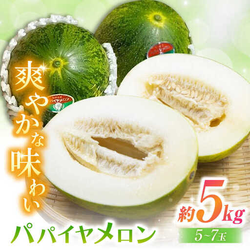 【2027年4月中旬-発送】パパイヤメロン 約5kg（約5~7玉）/ メロン めろん パパイヤメロン 果物 フルーツ / 南島原市 / 長崎県農産品流通合同会社 [SCB086]