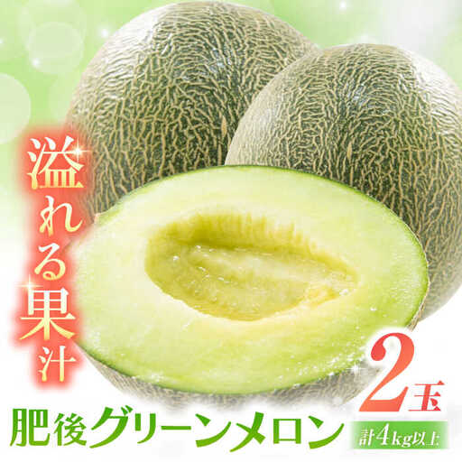 【2027年5月中旬-発送】肥後グリーンメロン 2玉（合計4kg以上） [SCB088] メロン