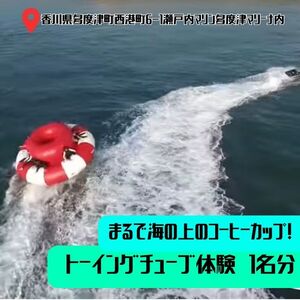 まるで海の上のコーヒーカップ! トーイングチューブ体験 1名[L-55]